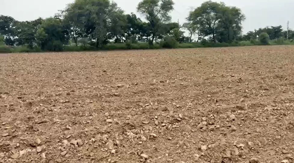 Zahidpur, Jhajjar, Haryana 124103, India