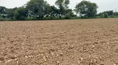 Zahidpur, Jhajjar, Haryana 124103, India preview 3