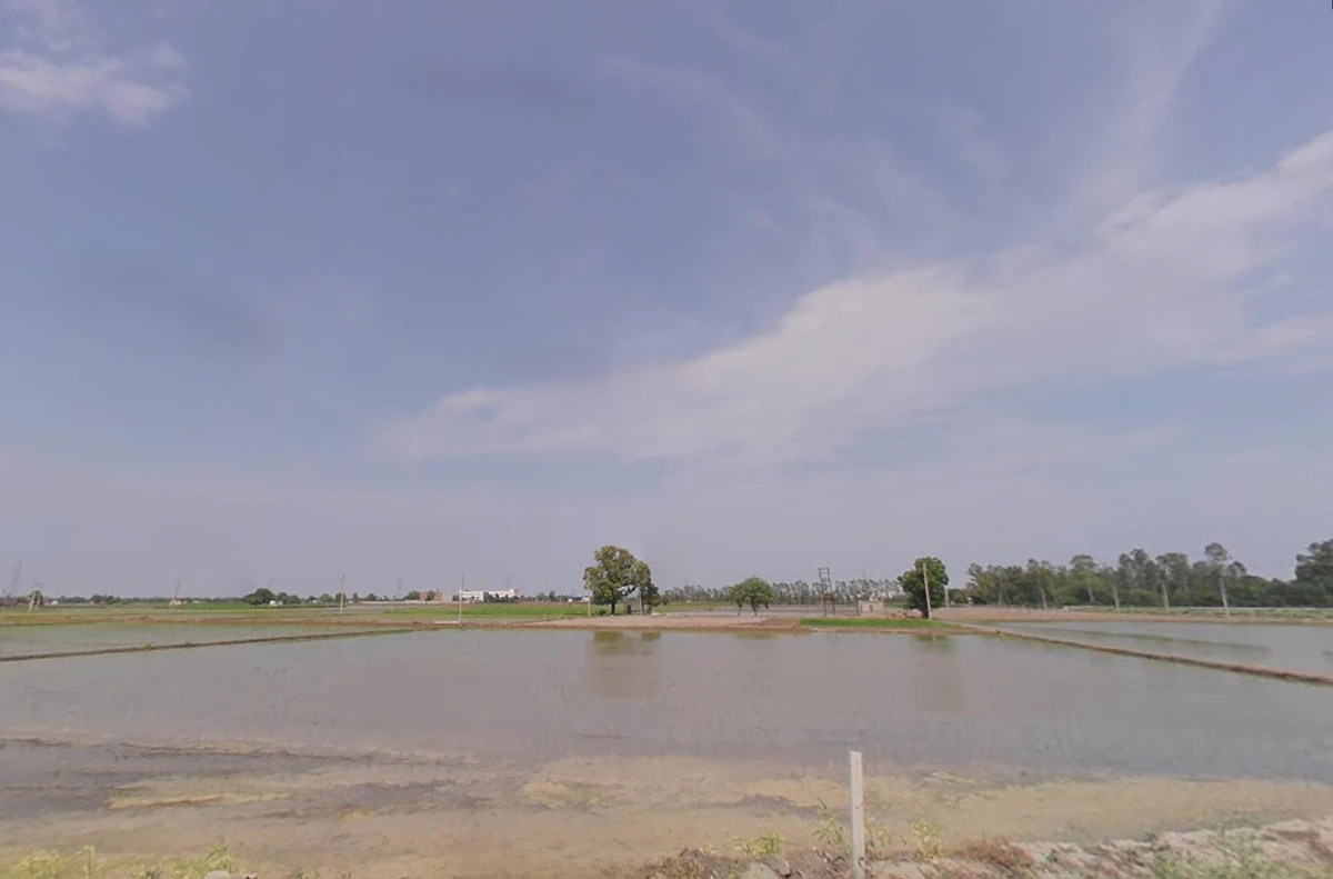 Kaithal, Haryana 136027, India
