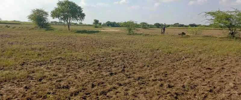 Dodwari, Rajasthan 304001, India preview 2