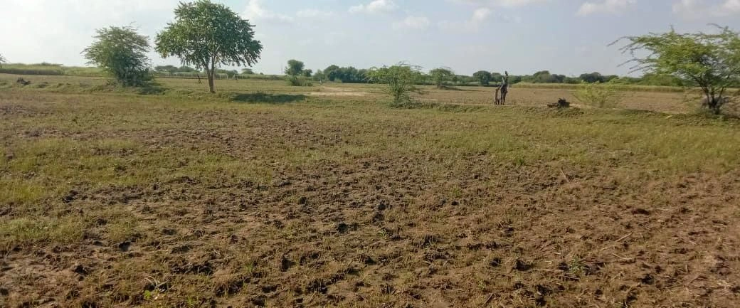 Dodwari, Rajasthan 304001, India