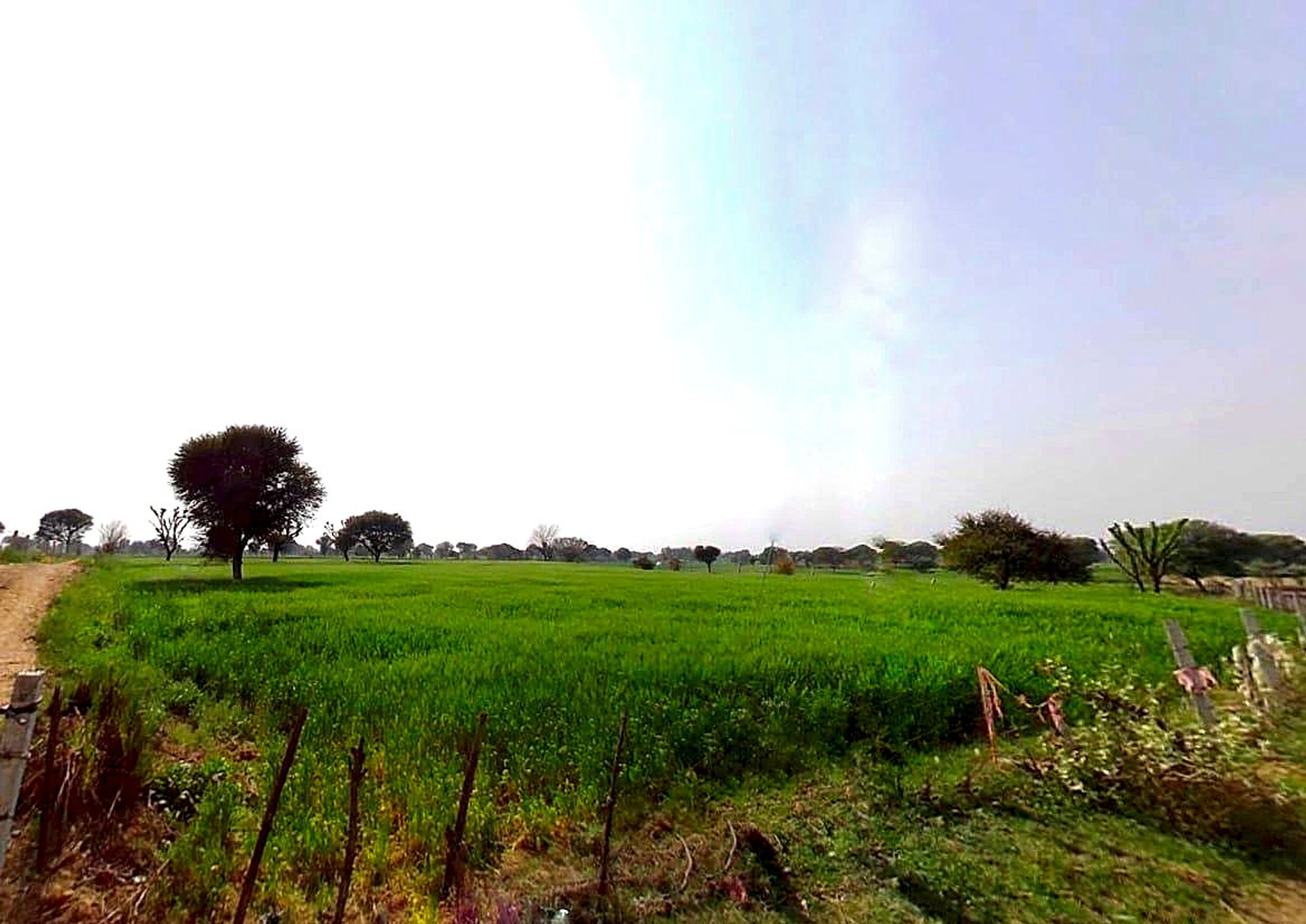 3QXF+6XW, Raja Rampura, Rajasthan 303704, India