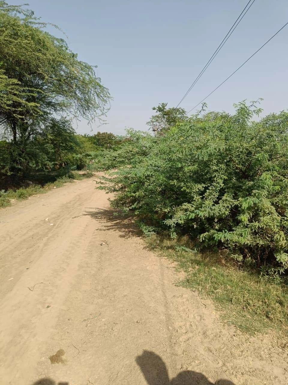 Ajhai Kalan, Uttar Pradesh 281406, India