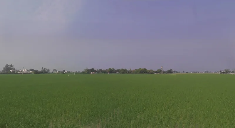 Raqba, Punjab 141104, India preview 3