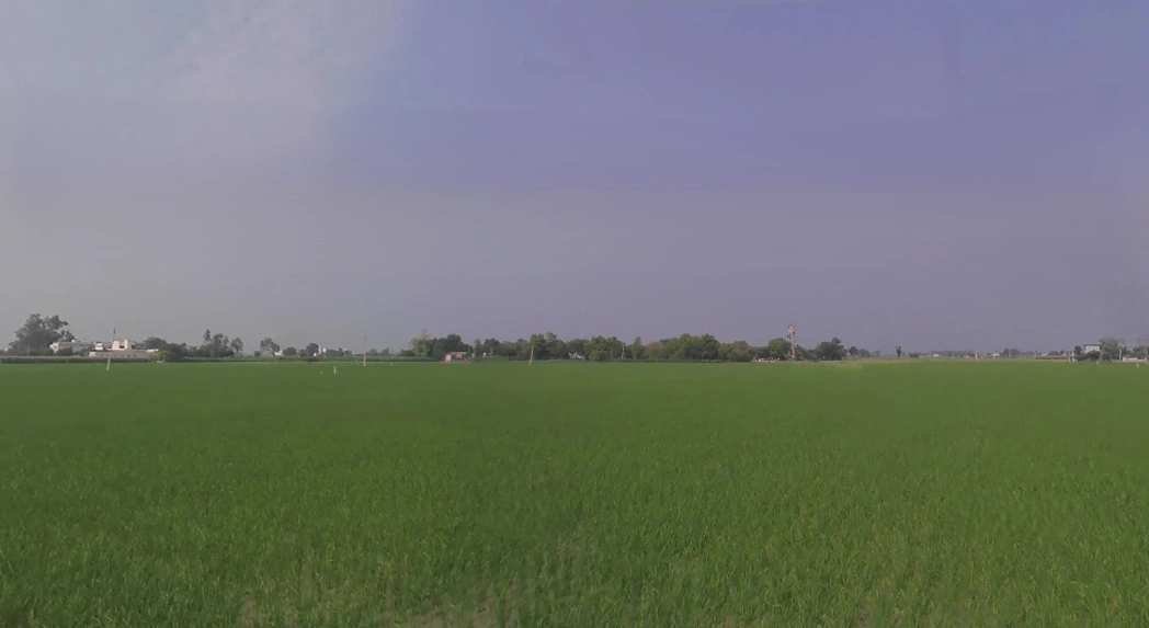 Raqba, Punjab 141104, India