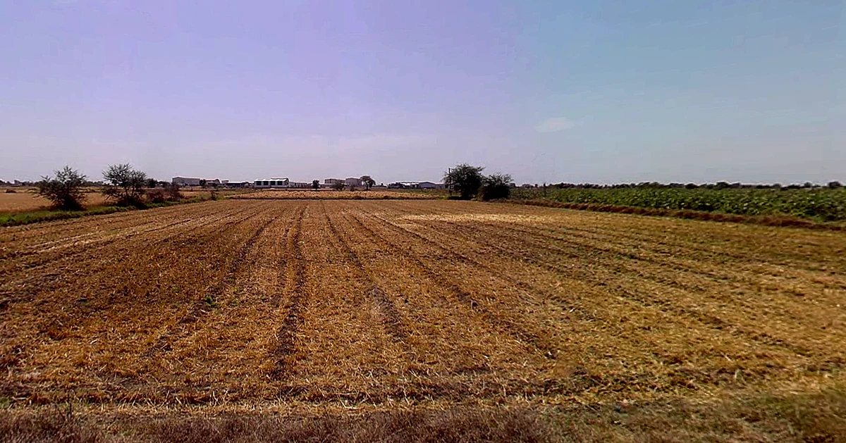 Moviya, Gujarat 360330, India