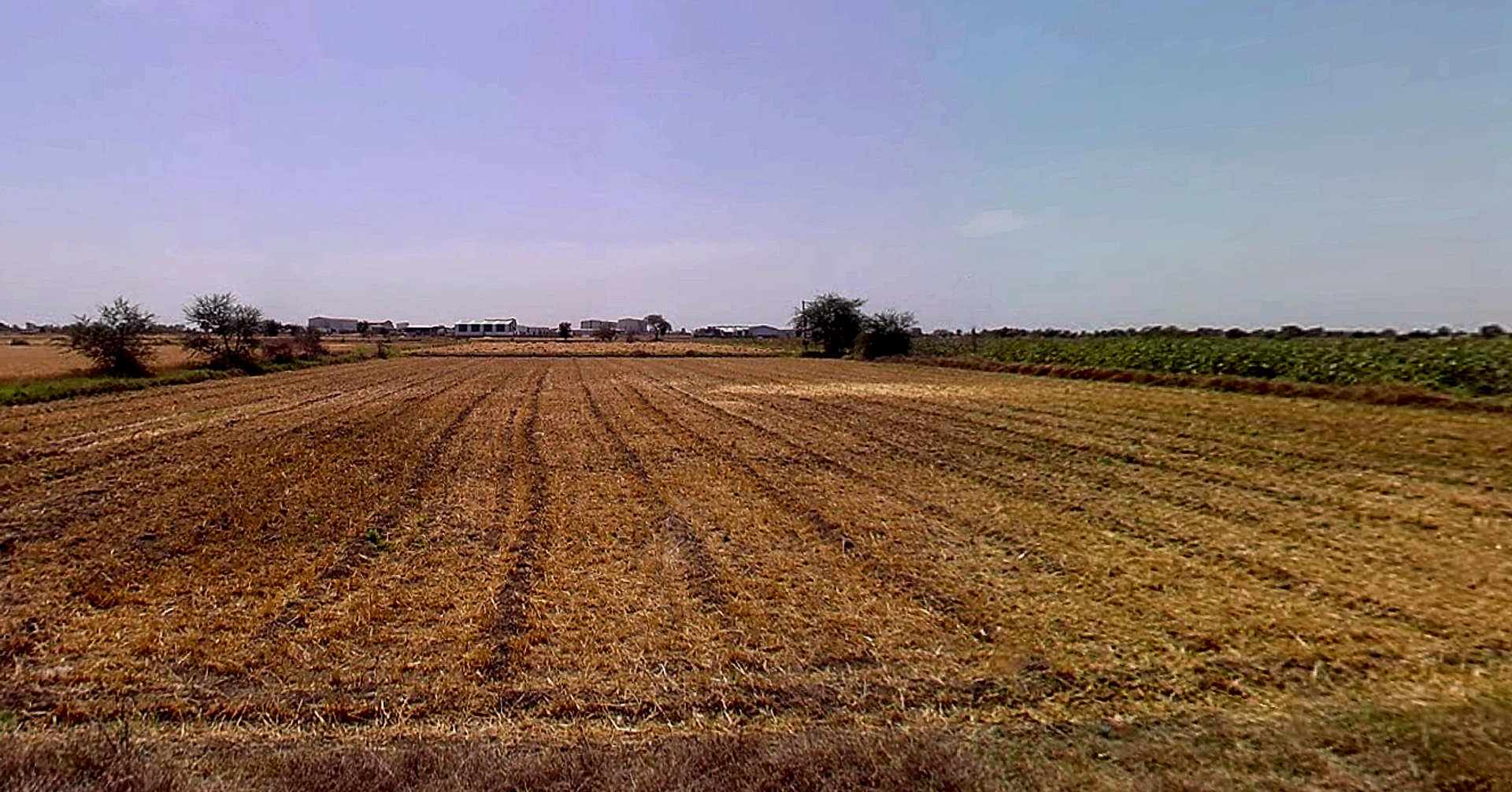 Moviya, Gujarat 360330, India