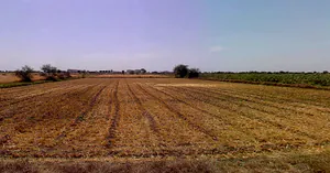 Moviya, Gujarat 360330, India preview 3