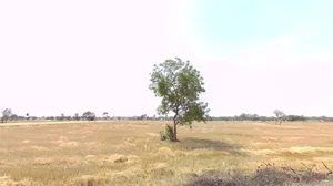 Dhamnod Rd, Guljhiri, Madhya Pradesh, India preview 2