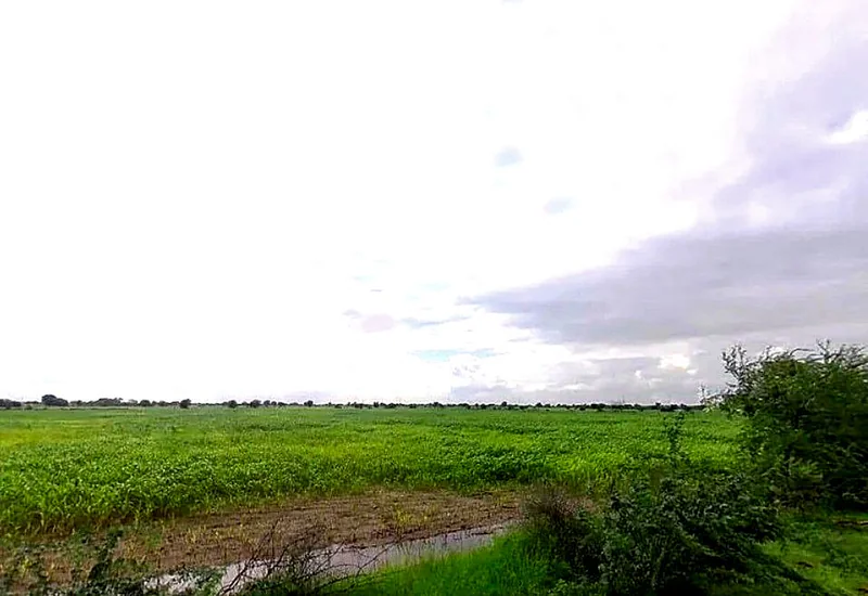 Bassi Naaga, Jaipur, NH-8, Ajmer Road, Jobner, Jobner, Rajasthan 303329, India preview 2