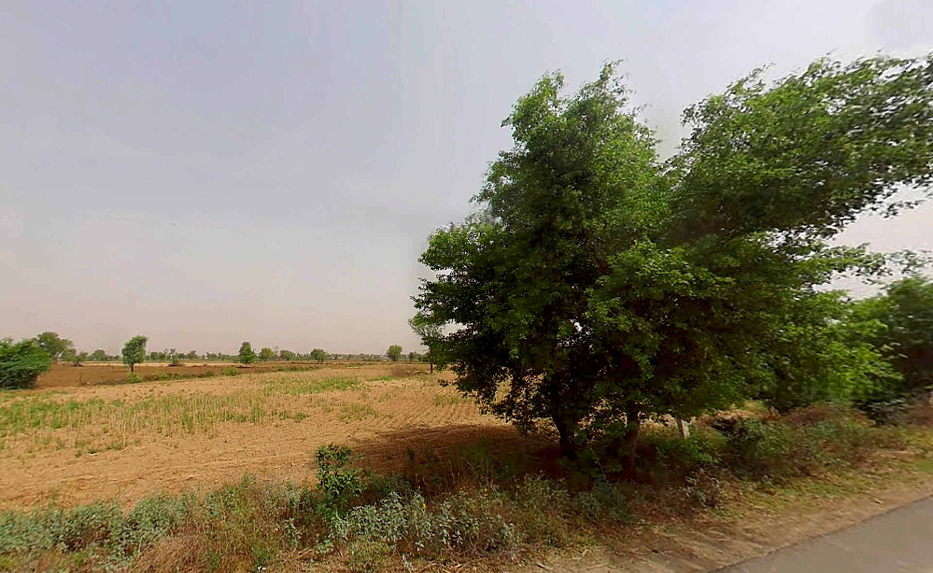 Nikhri, Haryana 123106, India