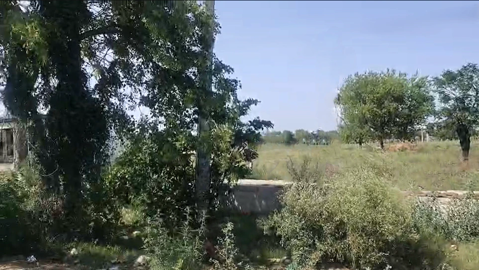 Pirthla, Haryana, India