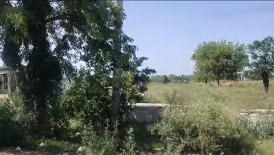 Pirthla, Haryana, India preview 3