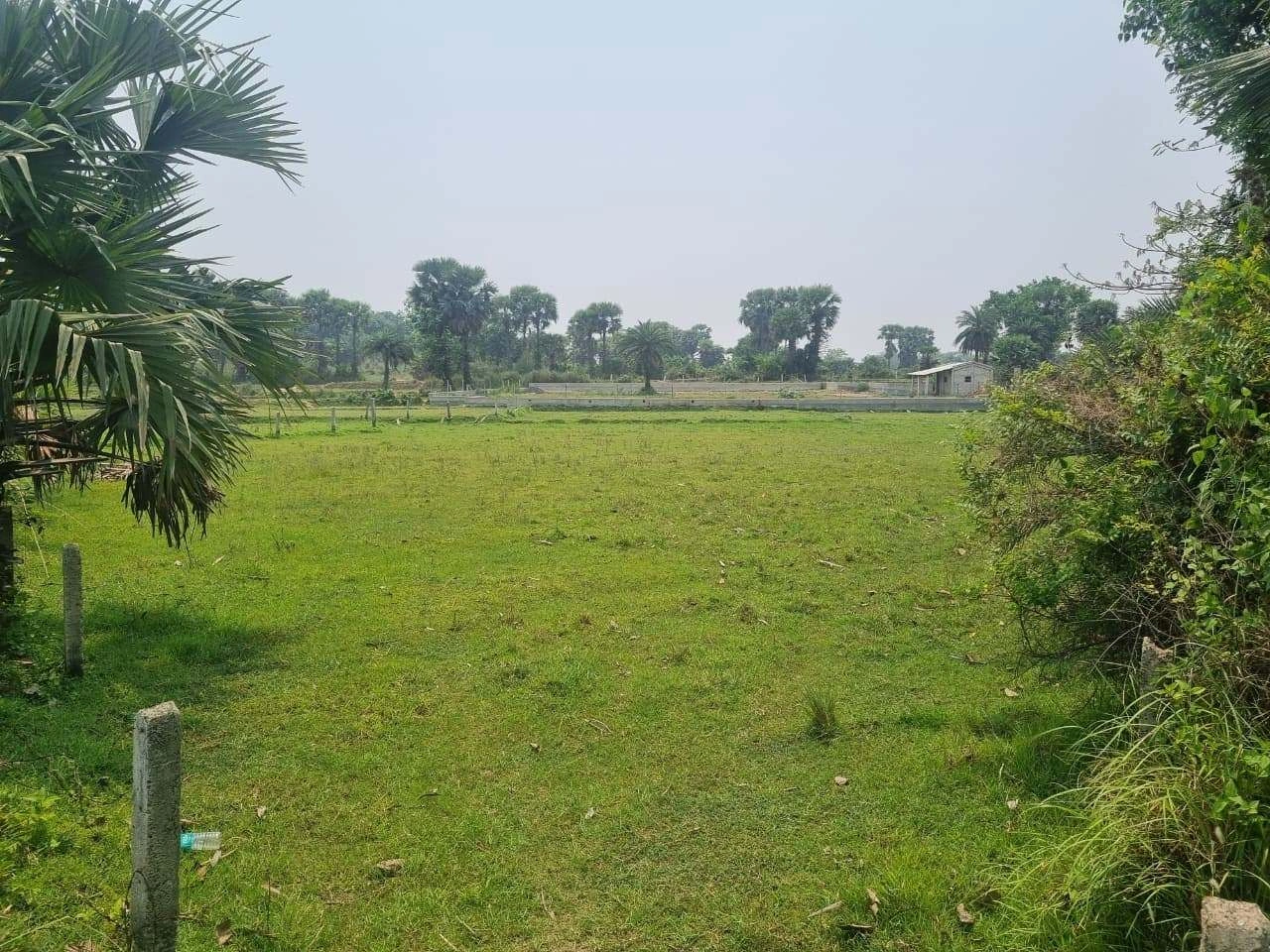 Bolpur - Santiniketan Rd, Surashree Pally, Bolpur, West Bengal, India