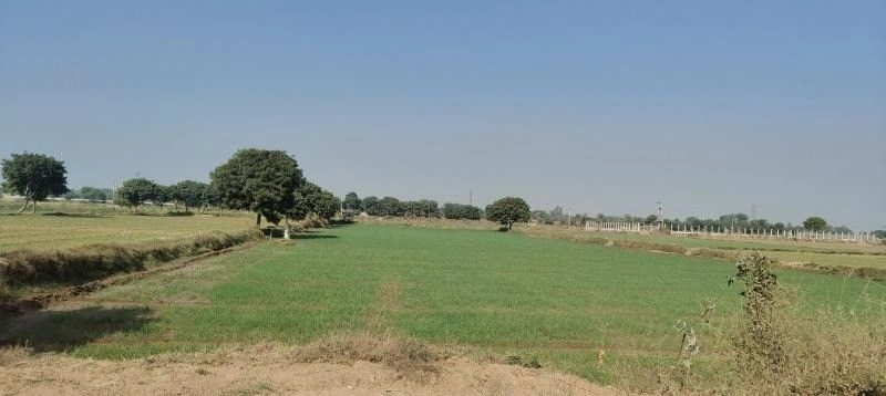 Kota, Rajasthan, India