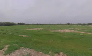 Somesar, Rajasthan 306503, India preview 2