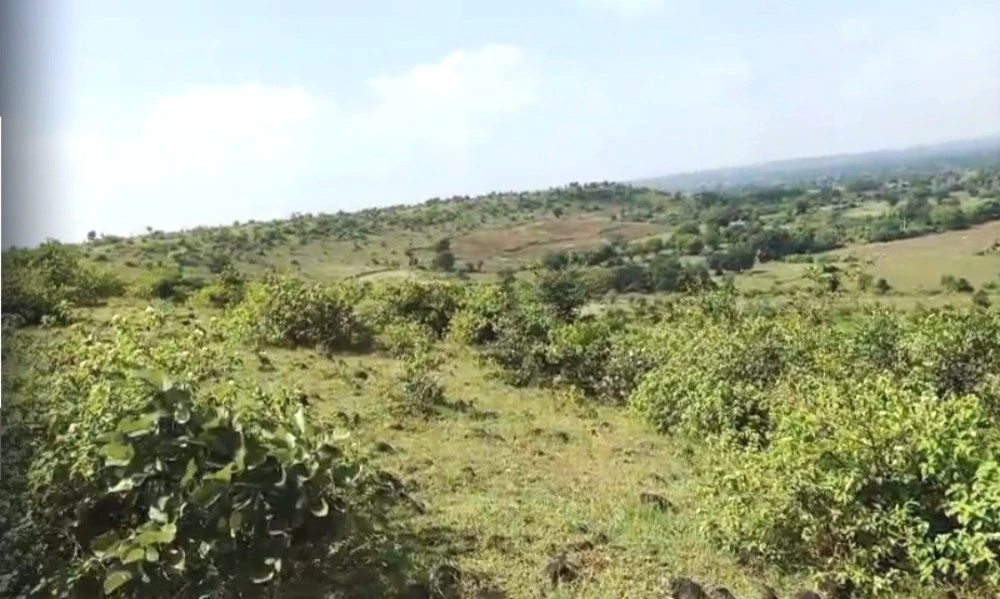 G6G7+795, Dupada, Madhya Pradesh, India