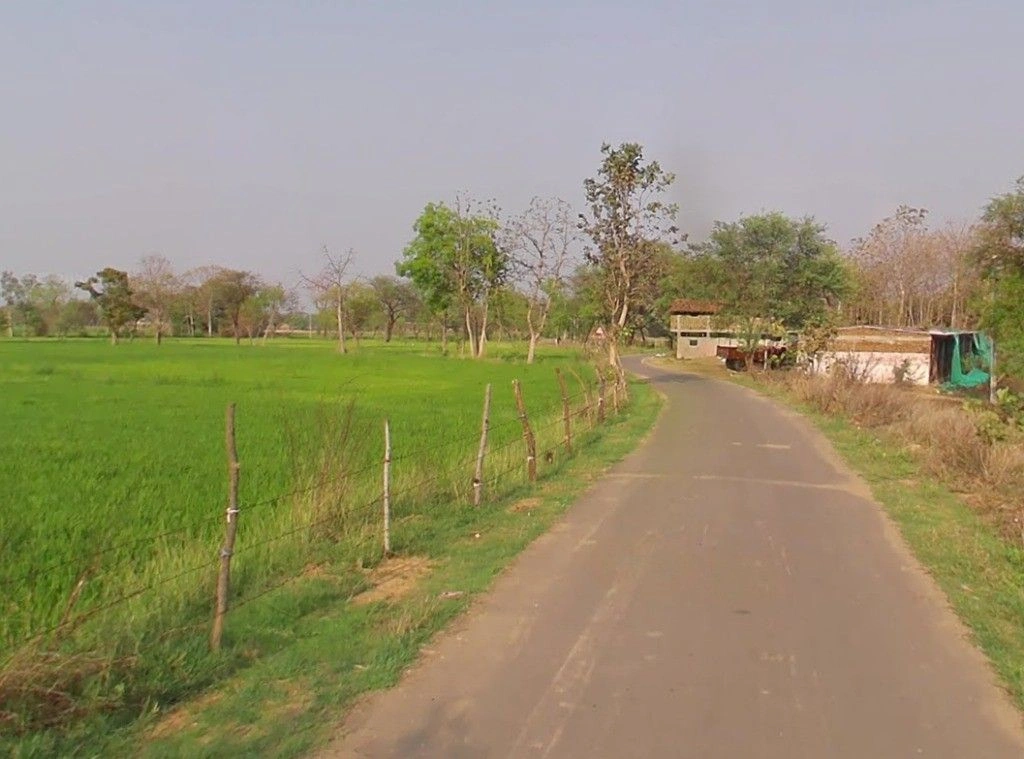 Pachpedi, Chhattisgarh, India