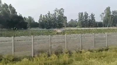 Berka Road, Gurugram, Akbar Colony, Sector-31, Sohna, Dhunela, Haryana 122103, India preview 3