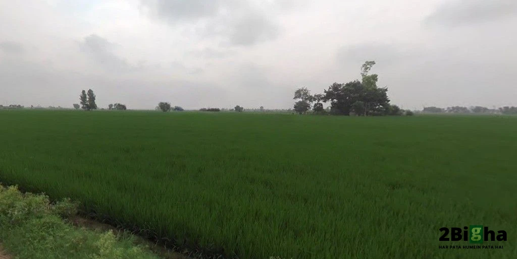 Chabal Rd, Indra Colony, Amritsar, Punjab, India