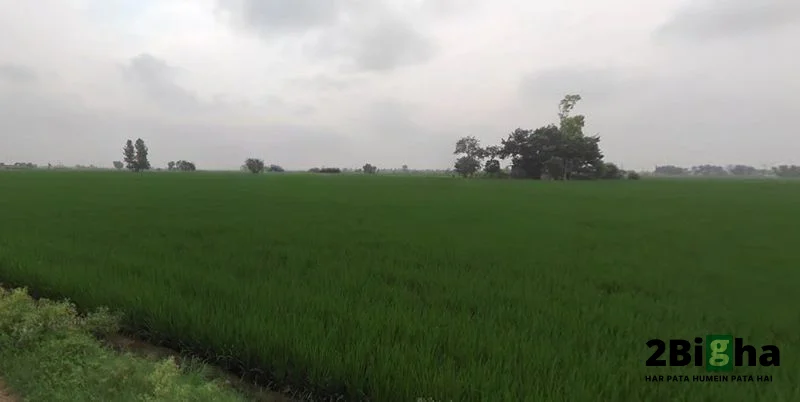 Chabal Rd, Indra Colony, Amritsar, Punjab, India preview 4