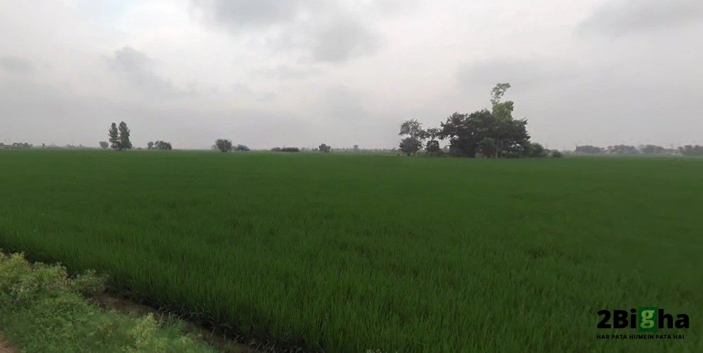 Chabal Rd, Indra Colony, Amritsar, Punjab, India