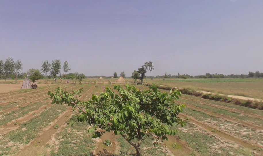 Budaun Rd, Chandpur, Uttar Pradesh, India