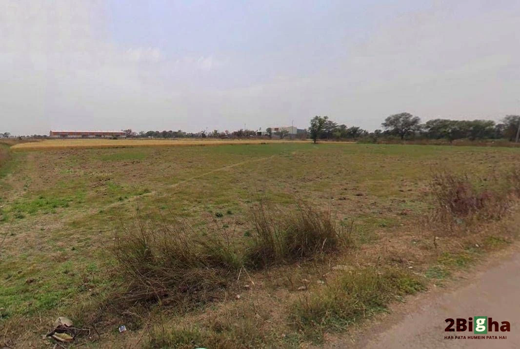 Kothi, Madhya Pradesh 485666, India