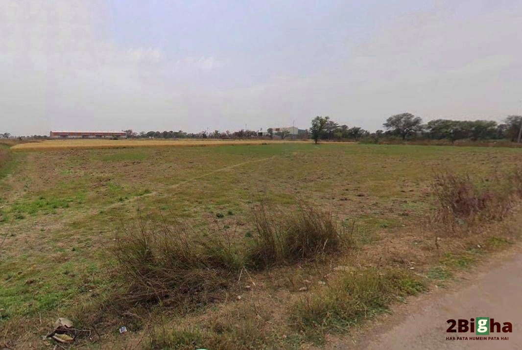 Kothi, Madhya Pradesh 485666, India