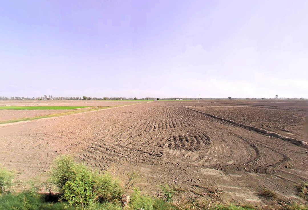 Munak, Haryana 132040, India