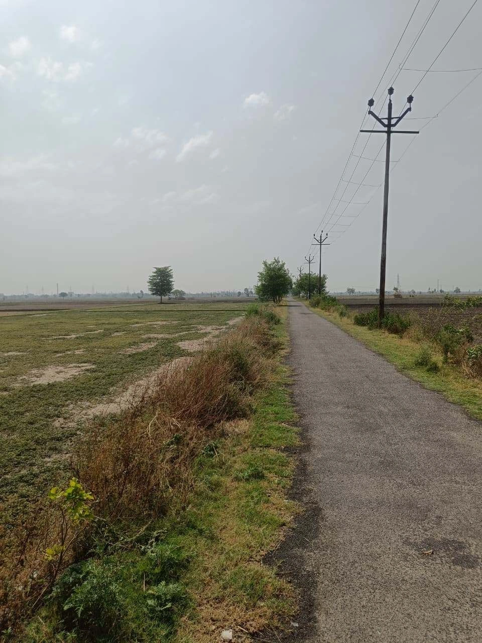 Aou, Rajasthan, India