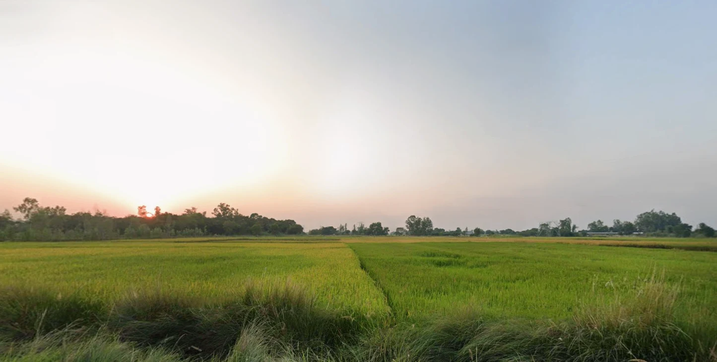 Shahzad Pur, Akbarpur, Uttar Pradesh 224122, India