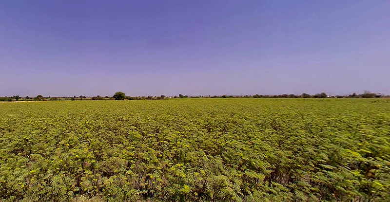 Sami, Gujarat 384245, India preview 3