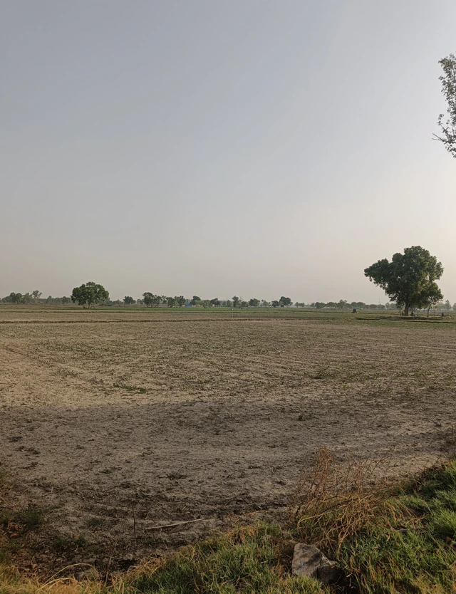 Amritsar, Punjab, India