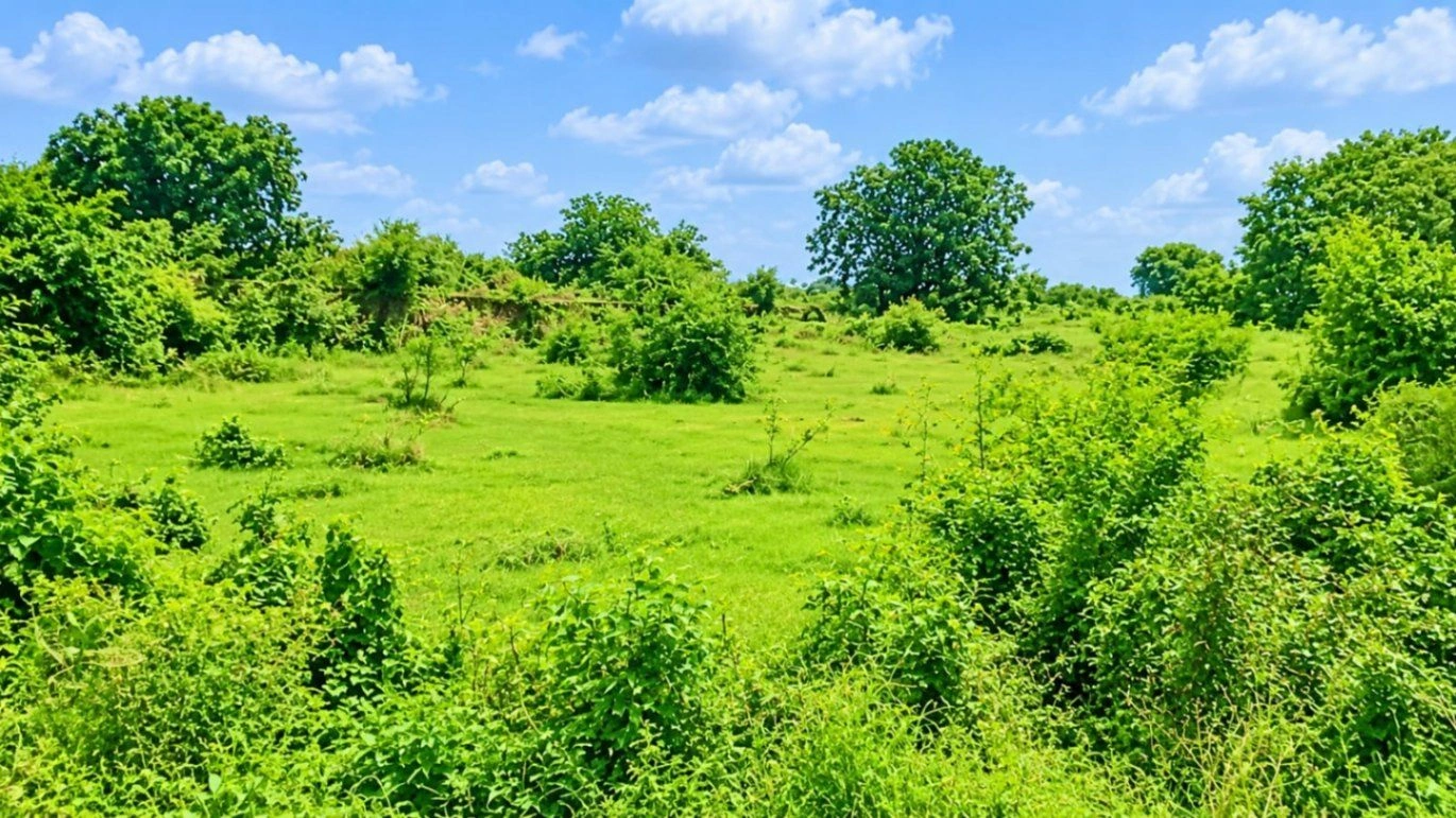 Narwal, Kanpur Nagar, Uttar Pradesh 209401, India