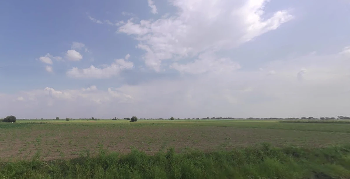 5HQ4+74J, Shertha, Gujarat 382423, India