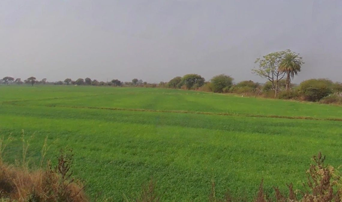 Salkanpur, Madhya Pradesh 466446, India preview 3