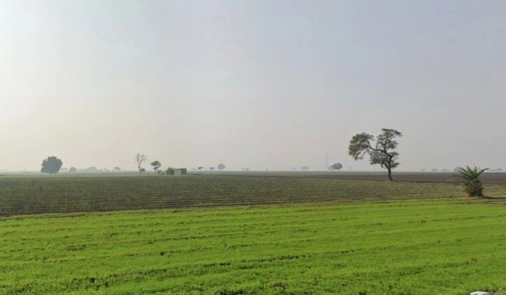 Maheshwar, Madhya Pradesh, India