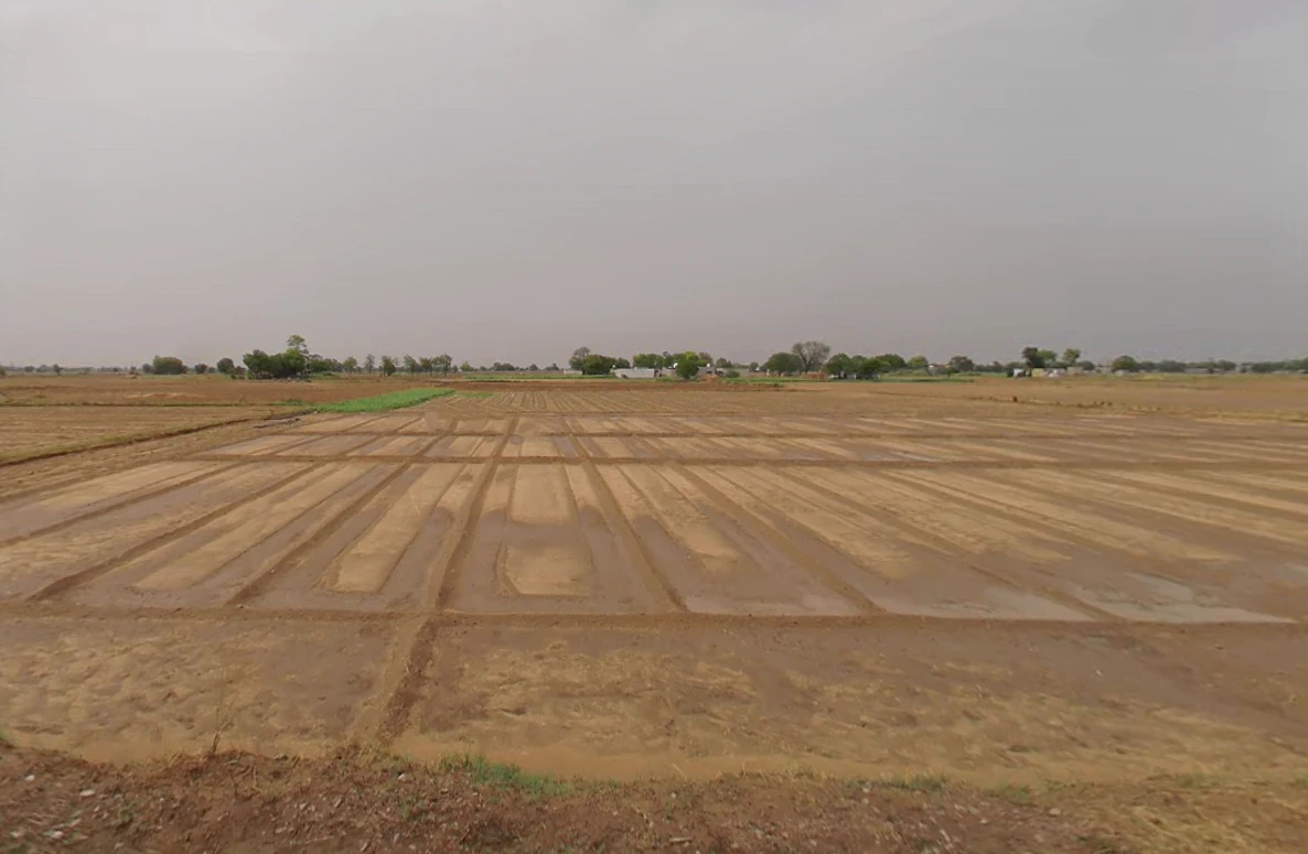 FXXR+3F7, Daulatabad, Gurugram, Haryana 122006, India