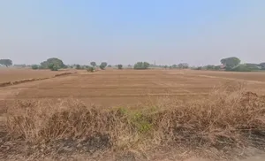 Mahendragarh, Haryana 123029, India preview 3