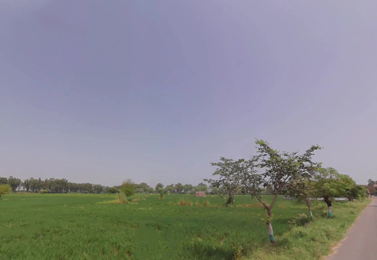 Charkhi Dadri, Haryana 127306, India