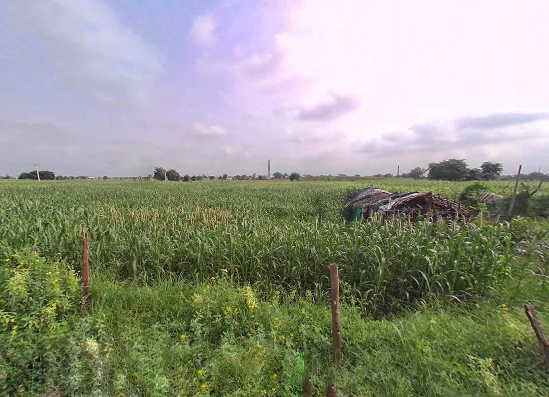 4562+WQF, NH 21, Halena, Rajasthan 321601, India