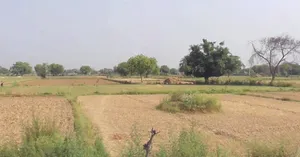Etah, Uttar Pradesh, India preview 3