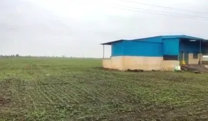 near, Duraha, Madhya Pradesh 466661, India preview 3