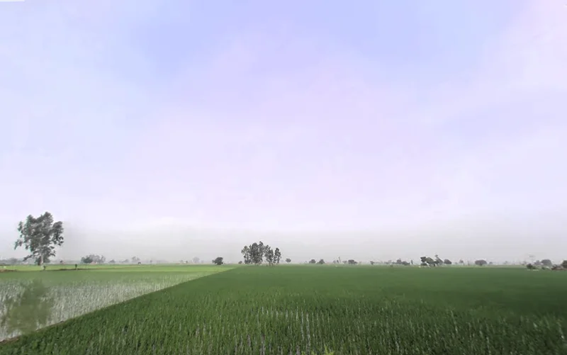 Jirbari, Haryana, India preview 3