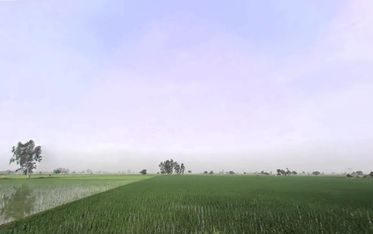 Jirbari, Haryana, India