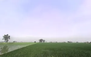 Jirbari, Haryana, India preview 3