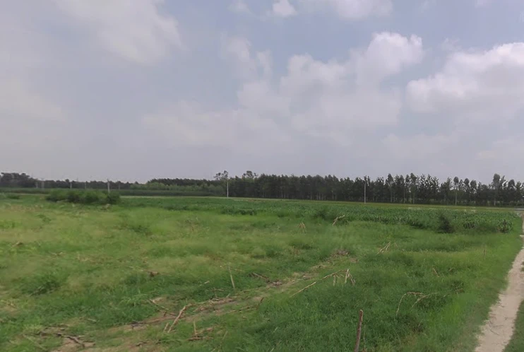 Mansa, Punjab 151505, India