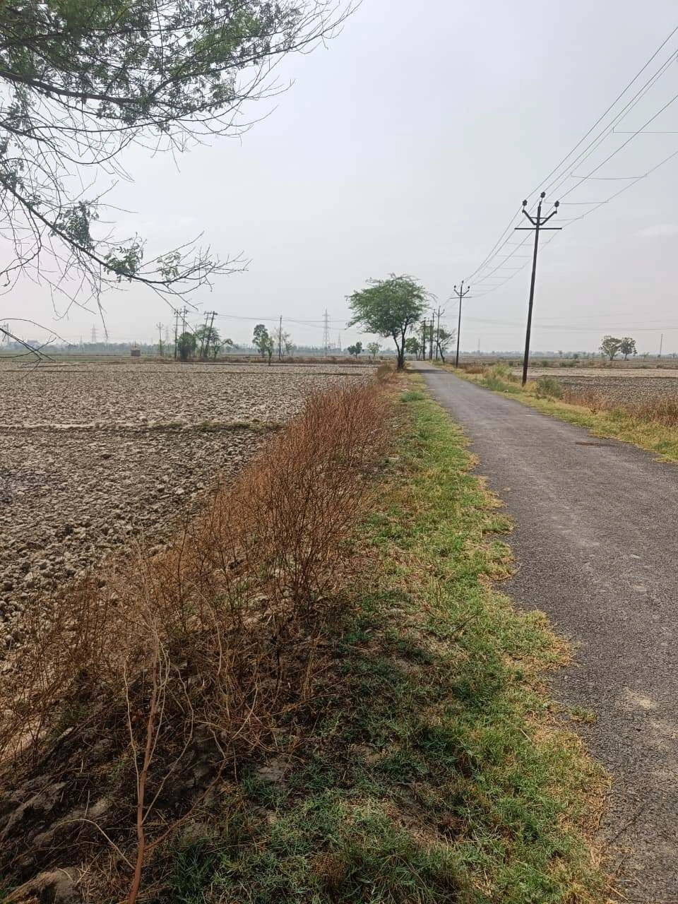 Aou, Rajasthan, India