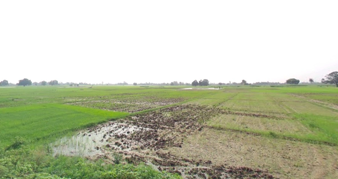 Susner, Madhya Pradesh 465447, India